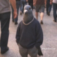 SALI-___- - steam id 76561199417619945