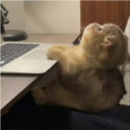 她才十八怎么守得住B