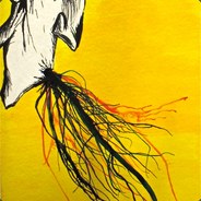 Yex - steam id 76561198070135451