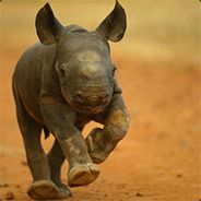 Keiser - steam id 76561197960354441