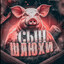 МУДЯ СОБАЧЬИ
