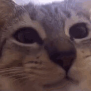 какойнахуйегорик