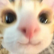 Juho's avatar