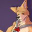FuryFurry