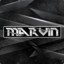 VIP_Marvin