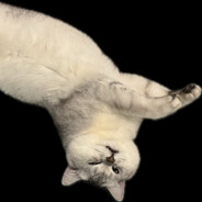 蓝战非替我自由