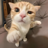 bublik 0_o - steam id 76561199028437368