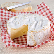 Camembert