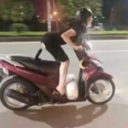 体弱多病牛子超硬