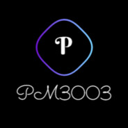 PM3003