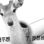 想想遮阳哥会怎么做