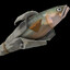 THE HOLY MACKEREL
