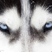 FV215B(183)★★★