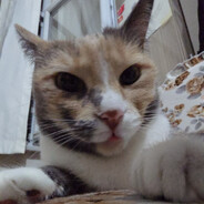 Nohut - steam id 76561198346771615