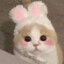 O3O