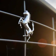 你打正面我拉枪线