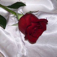 少年持枪狙四方.Skye