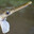 Longnose Gar's Avatar