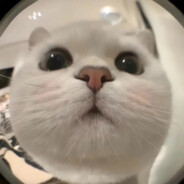 妳今日食咗飯咩啊