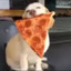 Pizza Hund