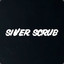 ✪SilVeR SkRuB | CS.MONEY