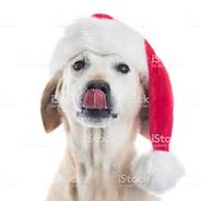 WARDAWG