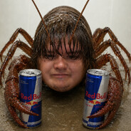two naughty red bulls