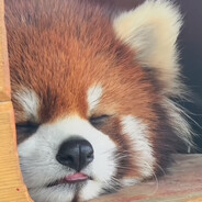 你男友只玩Ni葛夫