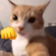 123