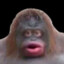 Jimmyjonjones