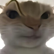 顶尖尖突破手阿诺