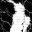 -li3r