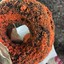 Choco Butternut