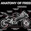 Freedom_Rider209