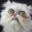 КОТЭ