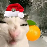 |ЛиС| avatar