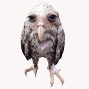 kurwadziurwa avatar