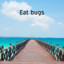 Eat Bugs