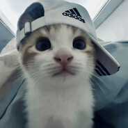 忧郁王子