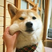 电脑玩家杰+电脑玩家克