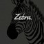 AidenZebra