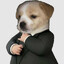 Bark Zuckerberg