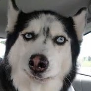 取个名字真的太难了