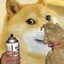 sniffe doge
