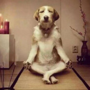 职业法师刘海柱