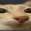 КАКА