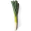 leek