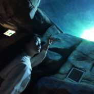 一颗修炼千年的糖