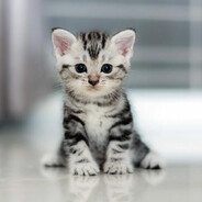 восьмиклоп