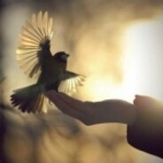 Quiritation